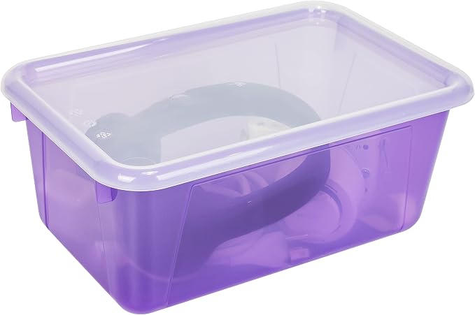Candy Violet