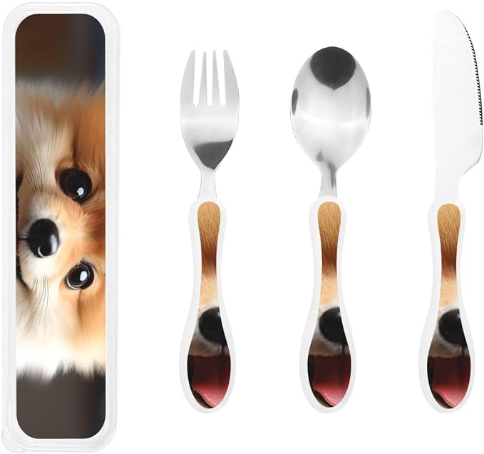 Cute Little Pomeranian