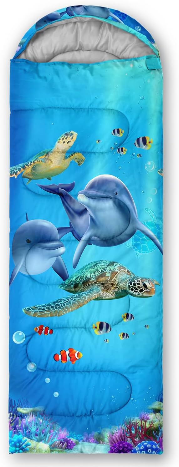 Kawaii Cartoon Whale Dolphin
