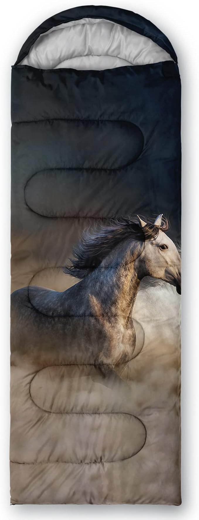 Horse 6
