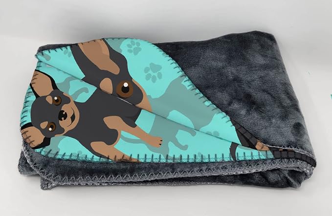 Chihuahua - Black and Tan