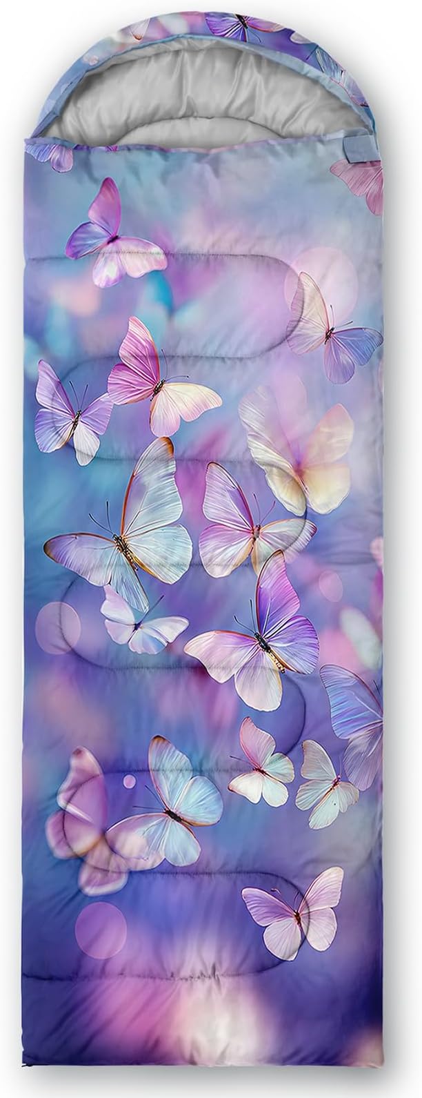 Color Butterfly 27