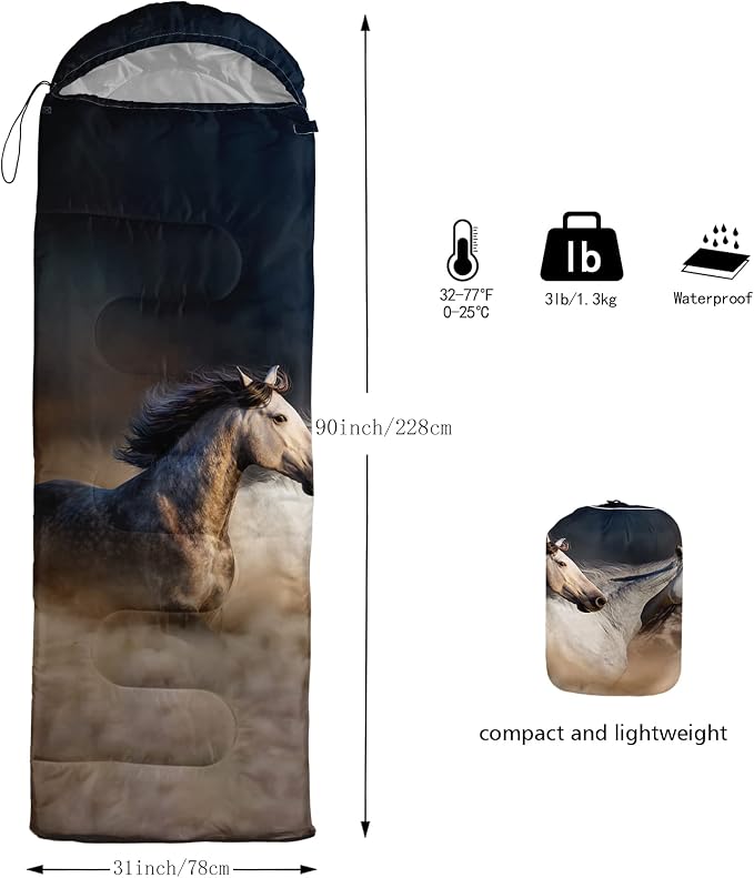 Horse 6