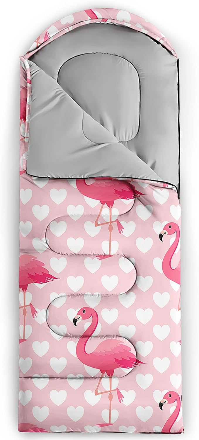F-Flamingo1