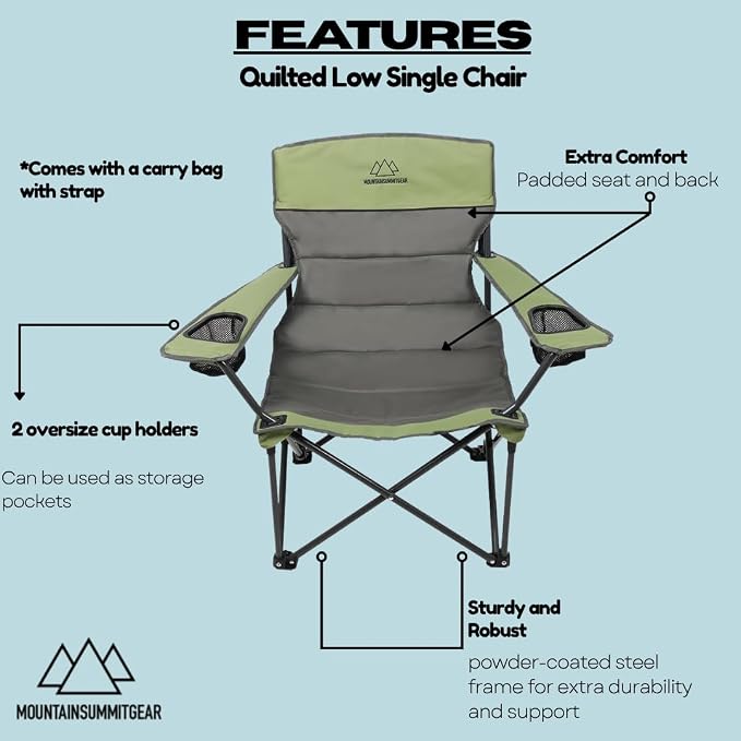 Low Chair (Gray/Asparagus)