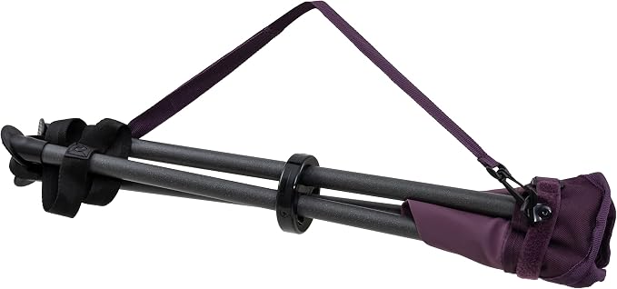 Eggplant