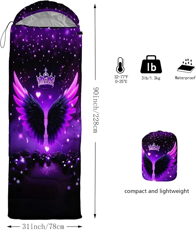 Cartoon Winged Crown 7