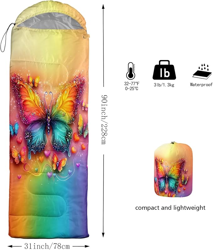 rainbow butterfly
