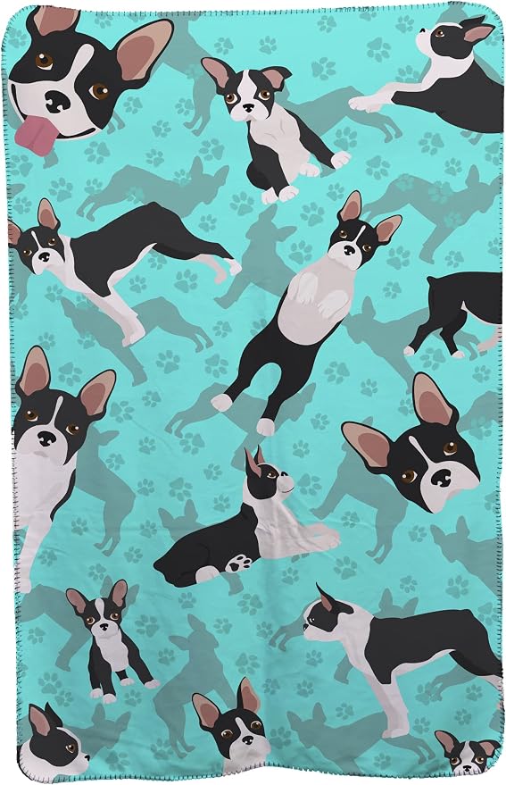 Boston Terrier