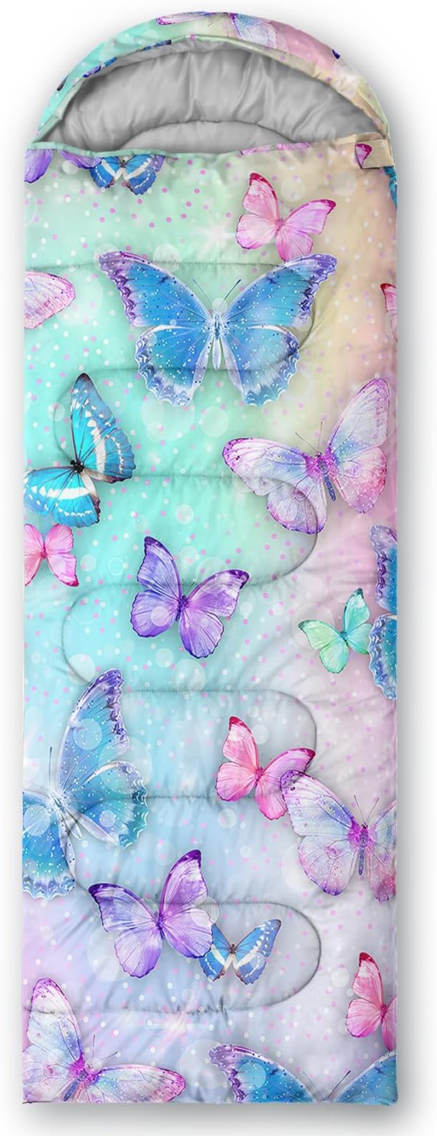 Colorful Butterflies