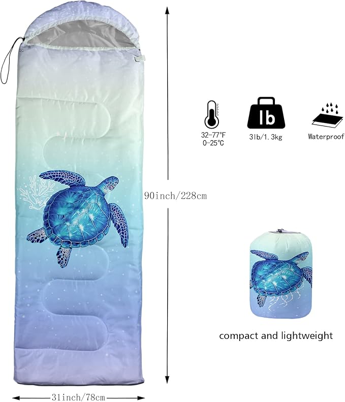 Turtle 9