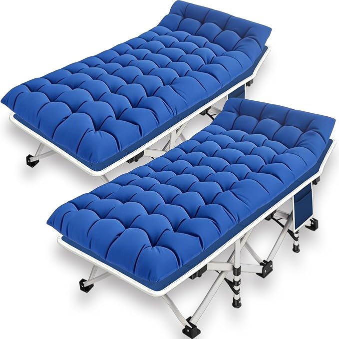 Standard 2 Pack Blue