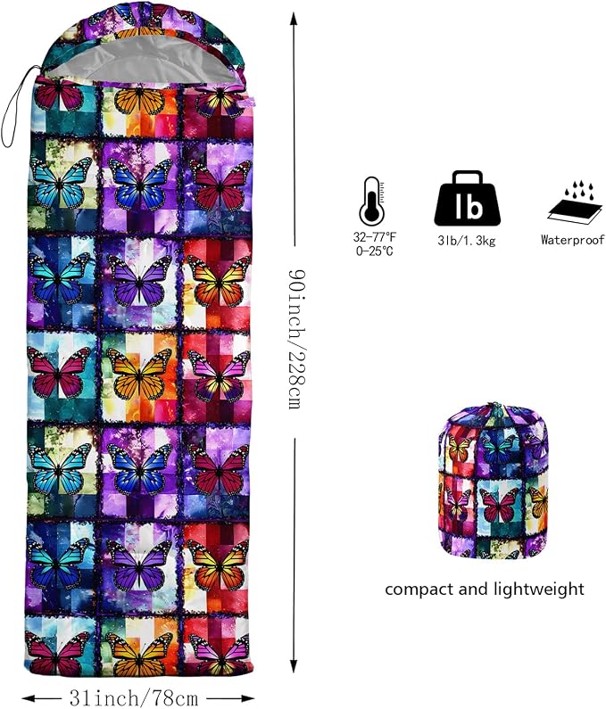 Colorful Butterfly 30