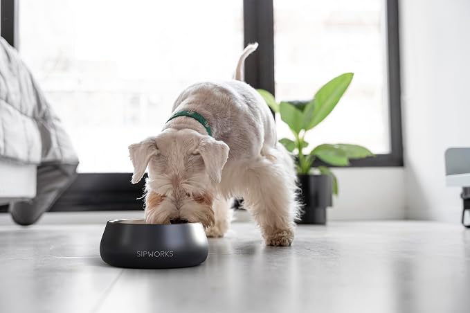 Midnight Black