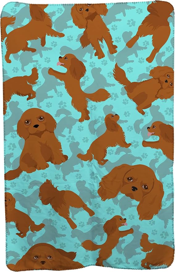 Cavalier Spaniel - Ruby