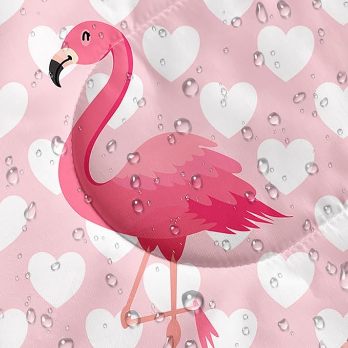 F-Flamingo1