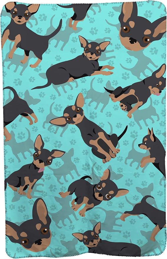 Chihuahua - Black and Tan