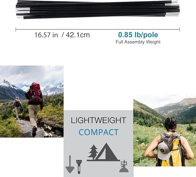 16 Ft 3 in