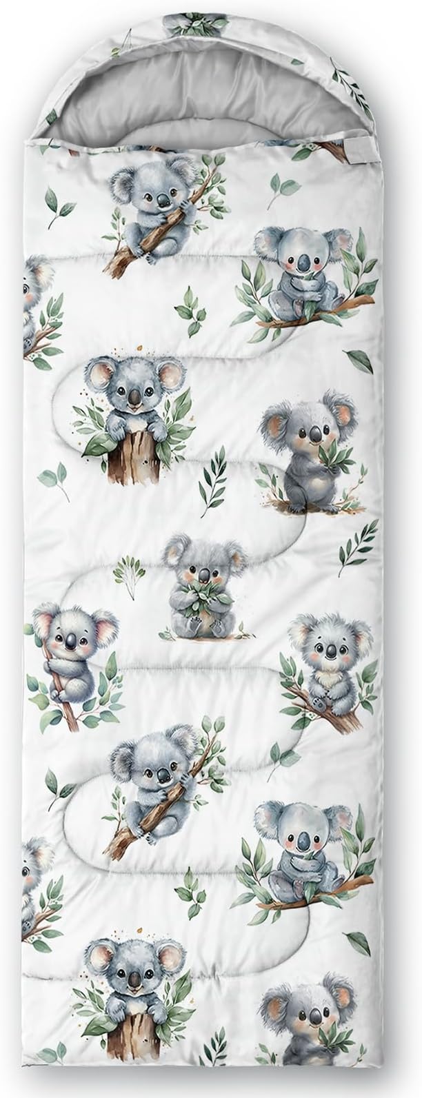 Koala4