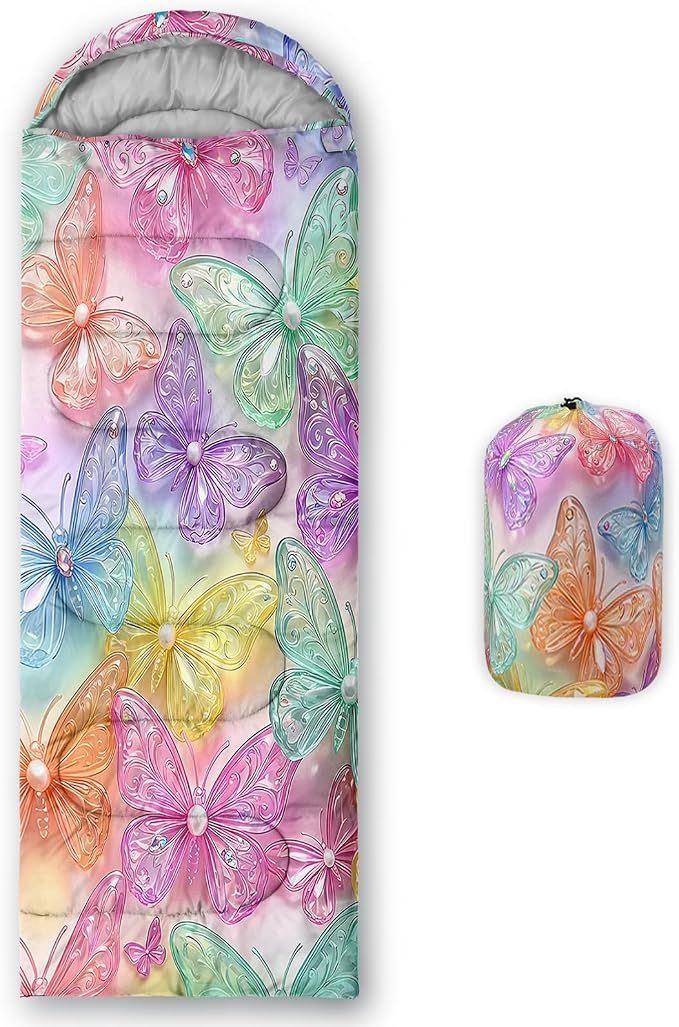 colorful butterfly
