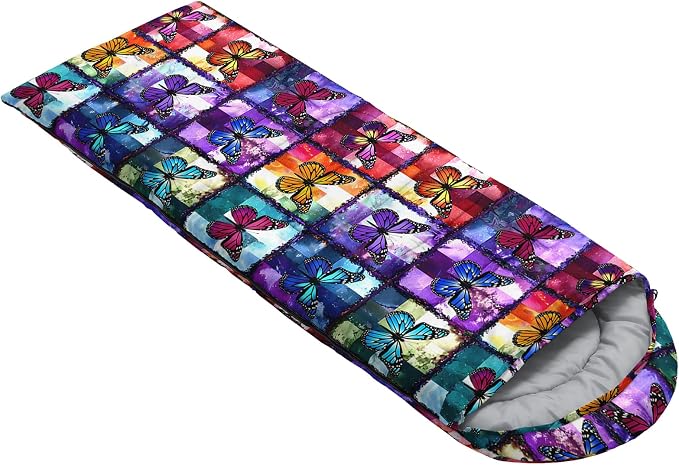 Colorful Butterfly 30