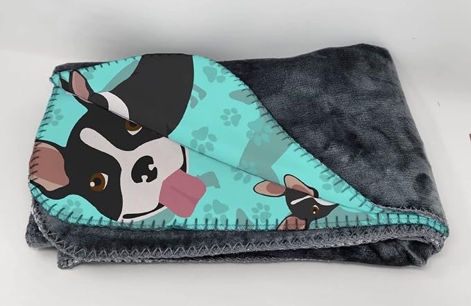 Boston Terrier