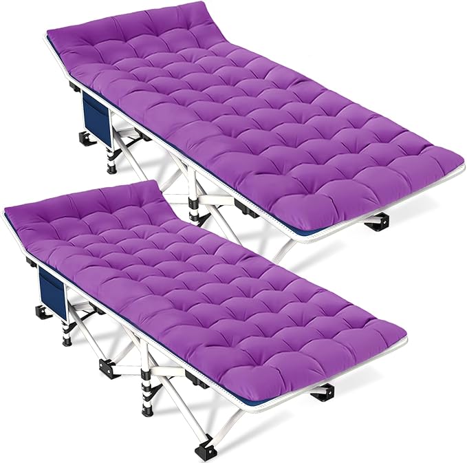 Standard 2 Pack Purple Pad
