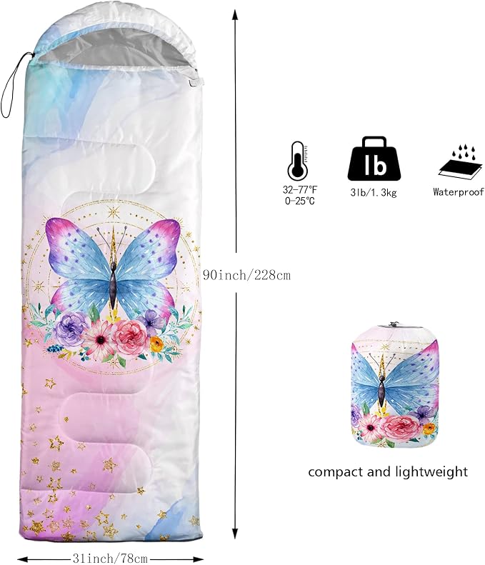 Butterfly 31