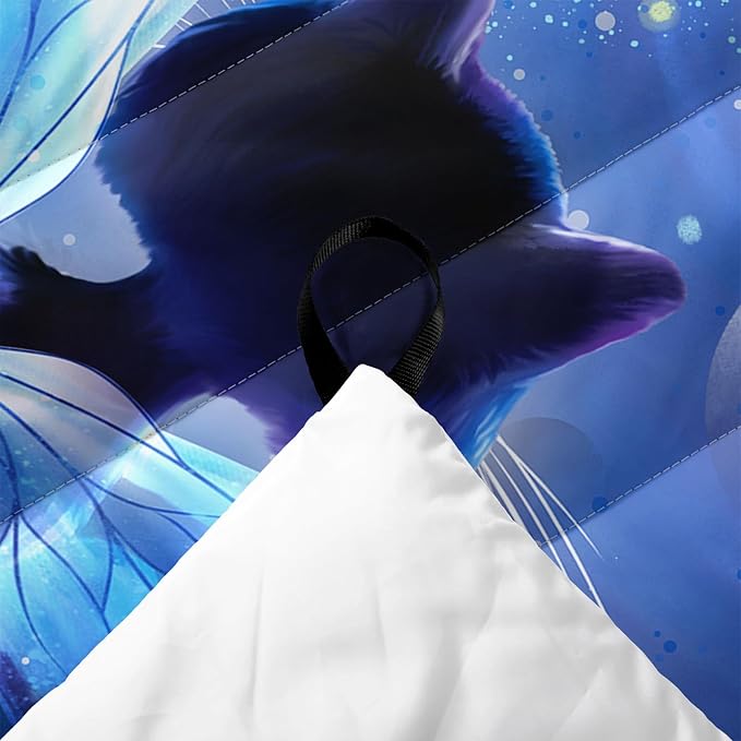 Cat01