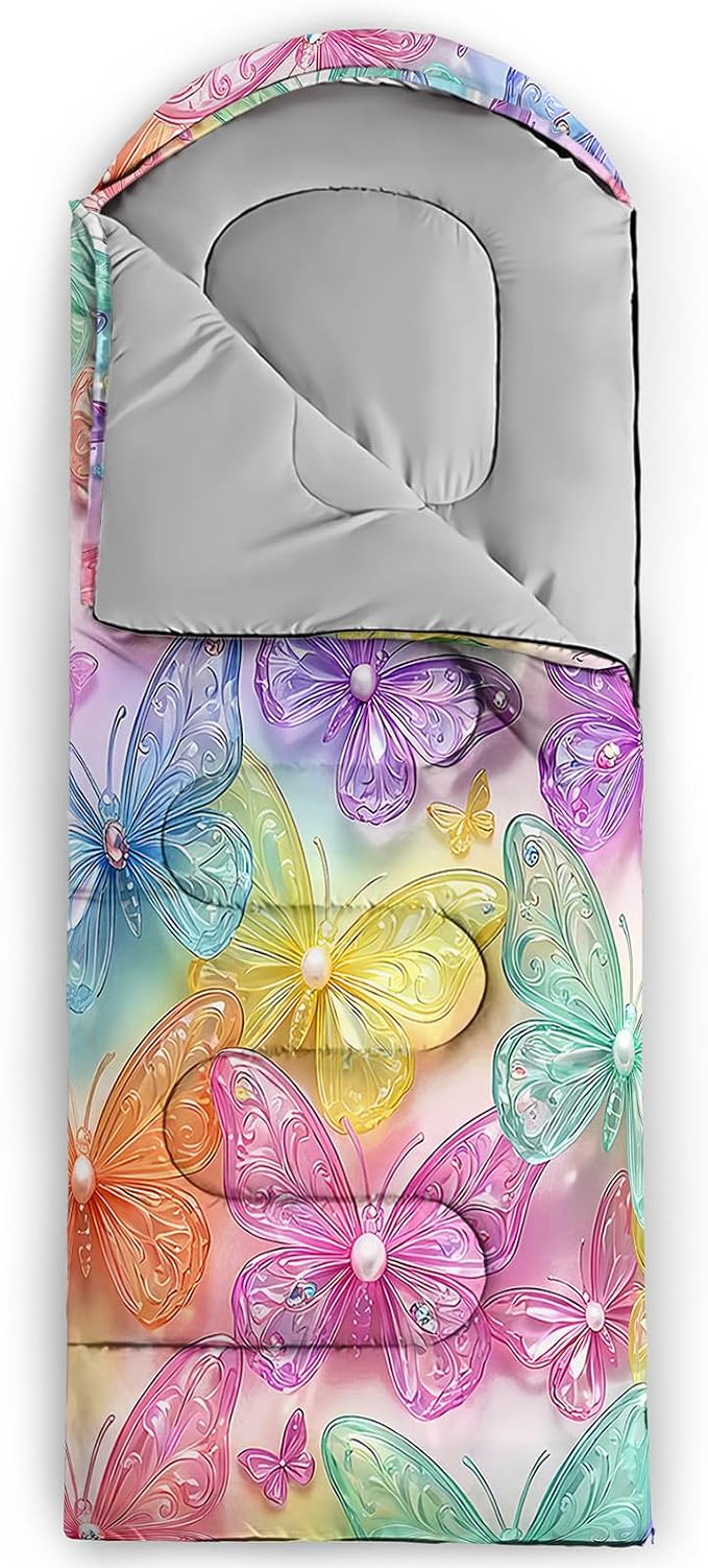 colorful butterfly