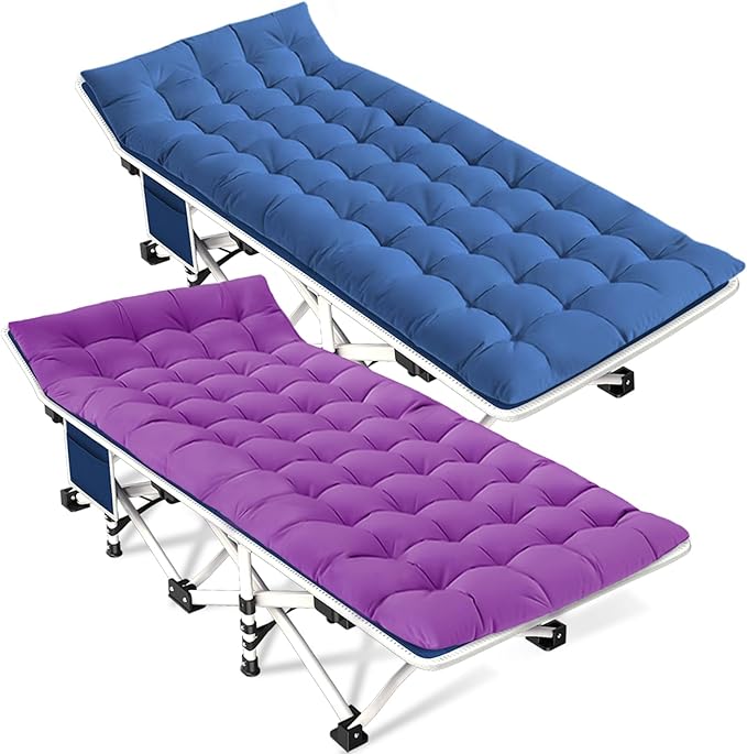 Standard Blue and Purple