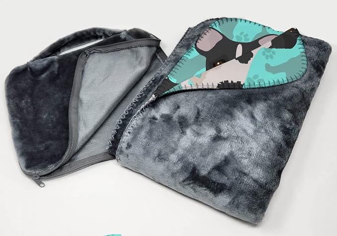 Jack Russell Terrier