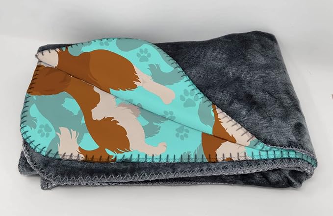 Cavalier Spaniel - Blenheim