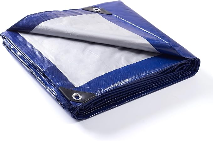 Blue/Silver