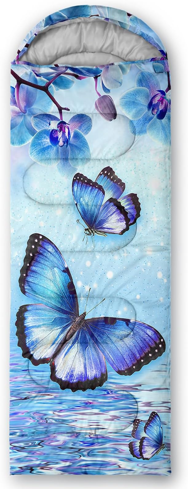 Blue Butterfly 3