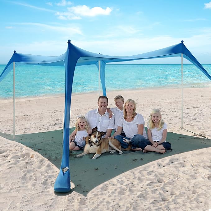 Blue (10 x 10 FT 4 Pole)