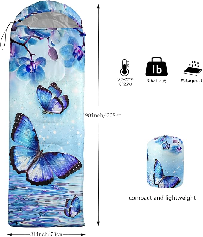 Blue Butterfly 3