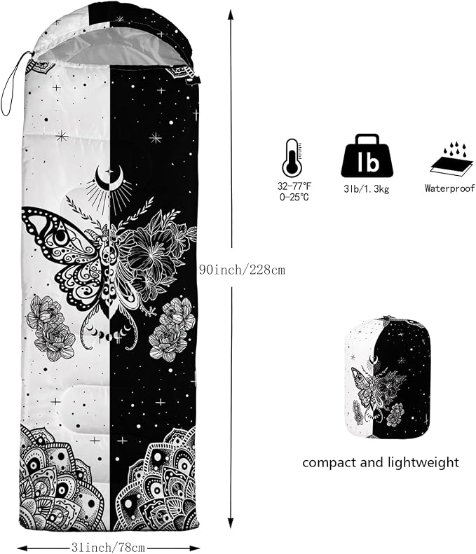 Butterfly-3