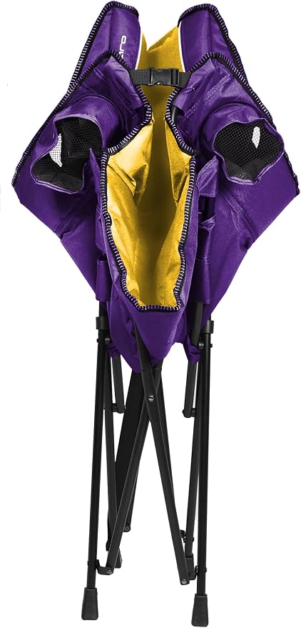 Minnesota Vikings