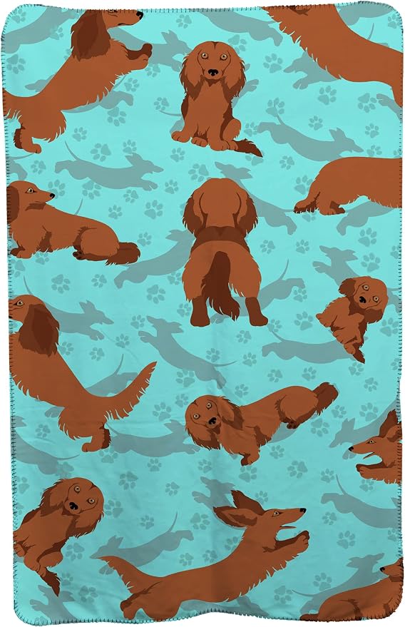 Dachshund - Longhaired Red