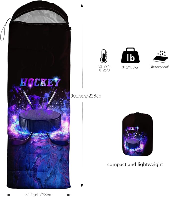 Ice Hockey 2