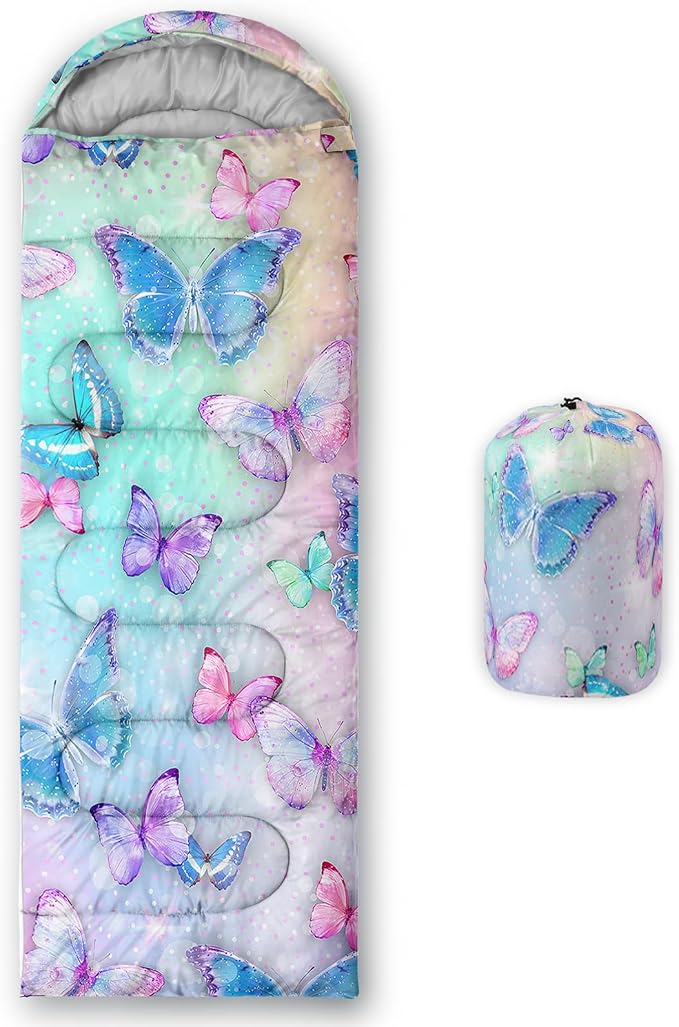 Colorful Butterflies