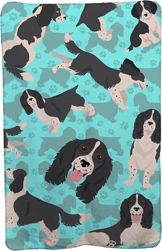 English Springer Spaniel - Black and White