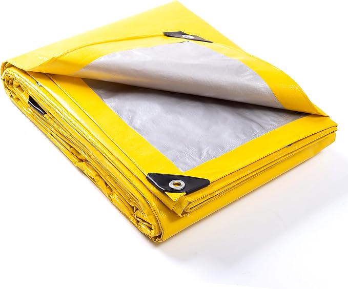 Yellow/Silver