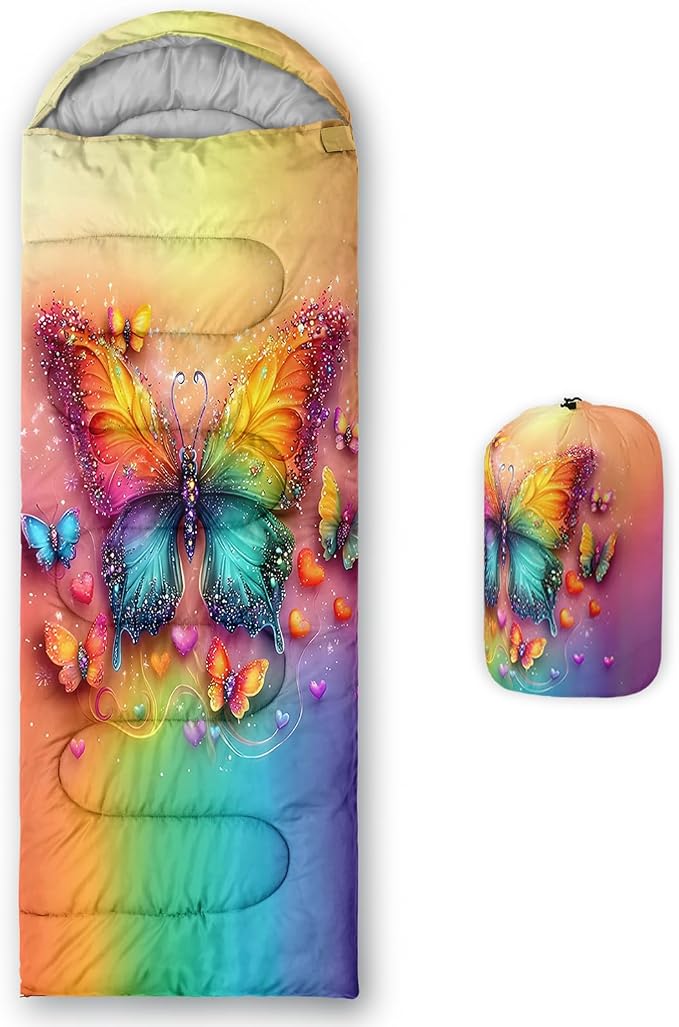 rainbow butterfly
