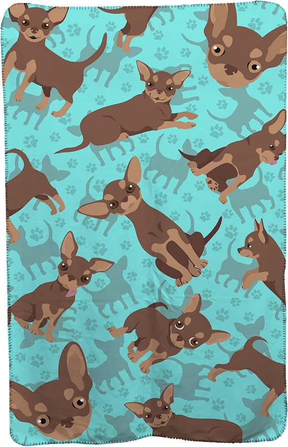 Chihuahua - Chocolate