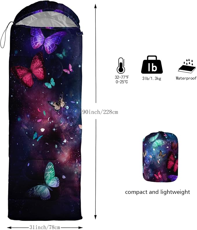 Butterfly-2