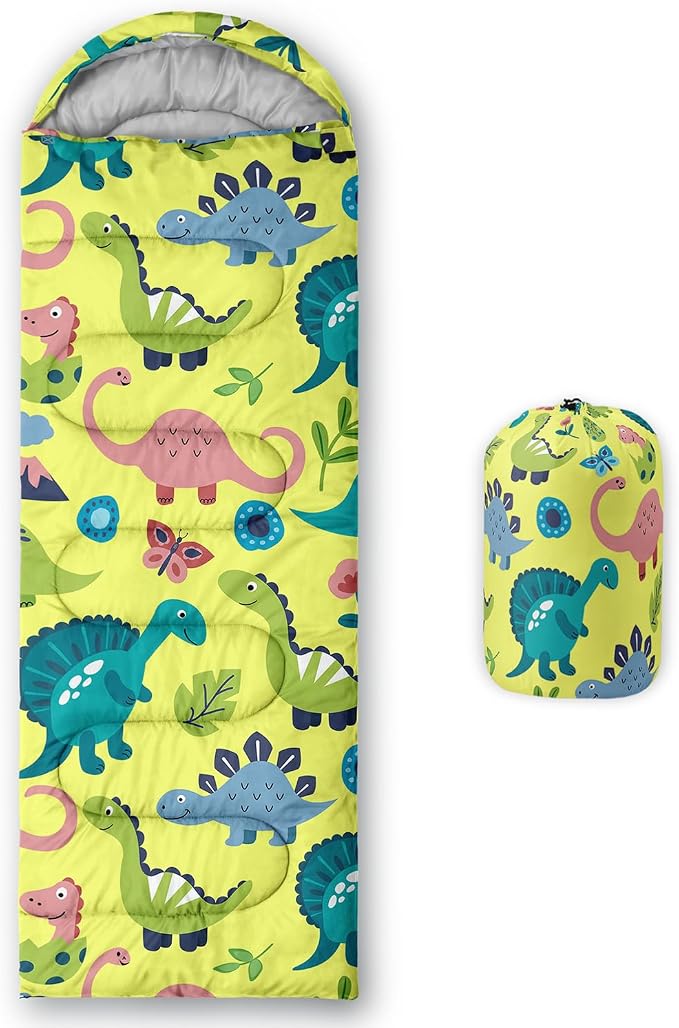 Cartoon Colorful Dinosaur