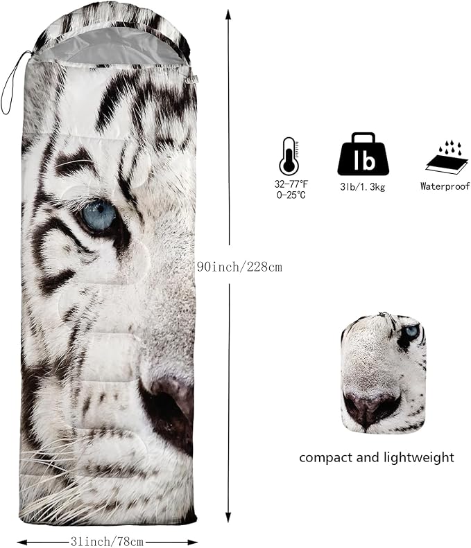Tiger1
