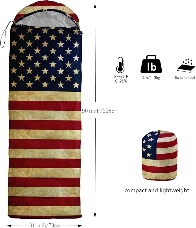 American Flag 1